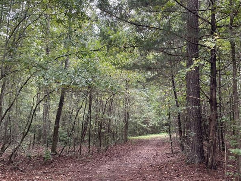 Gap Creek Farm : Madison : Morgan County : Georgia