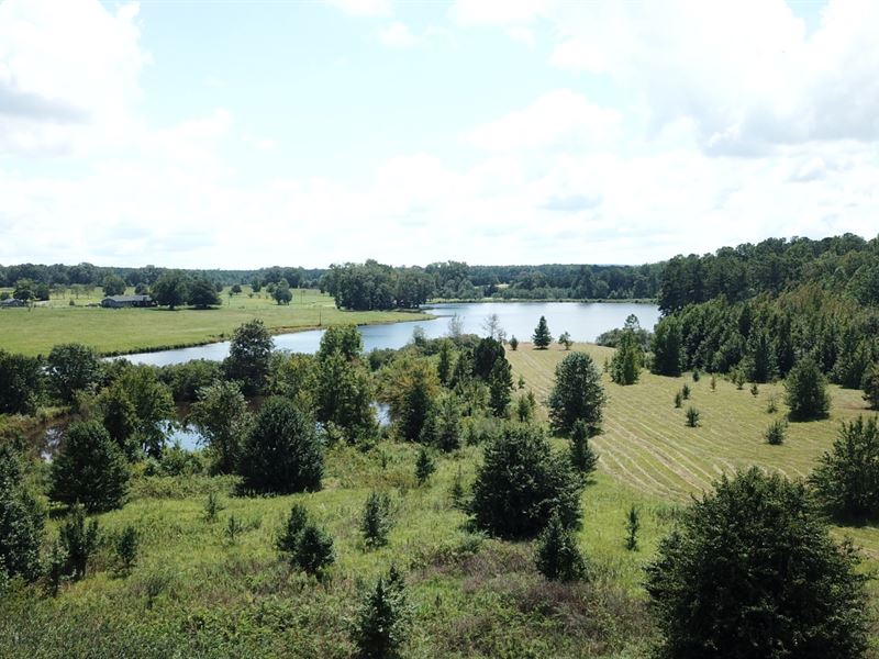 28 Ac on Hwy 36 Upson County : Thomaston : Upson County : Georgia