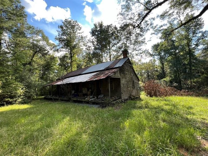 52 Acres in Lauderdale County in ME : Meridian : Lauderdale County : Mississippi