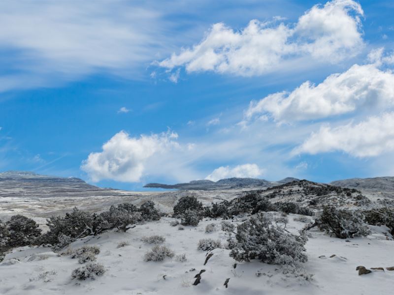 RV or Camp, The Choice is Yours : Elko : Elko County : Nevada