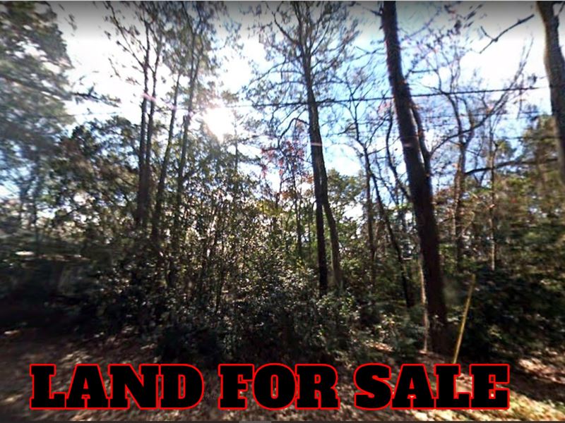 Land for Sale in Chattahoochee : Chattahoochee : Gadsden County : Florida
