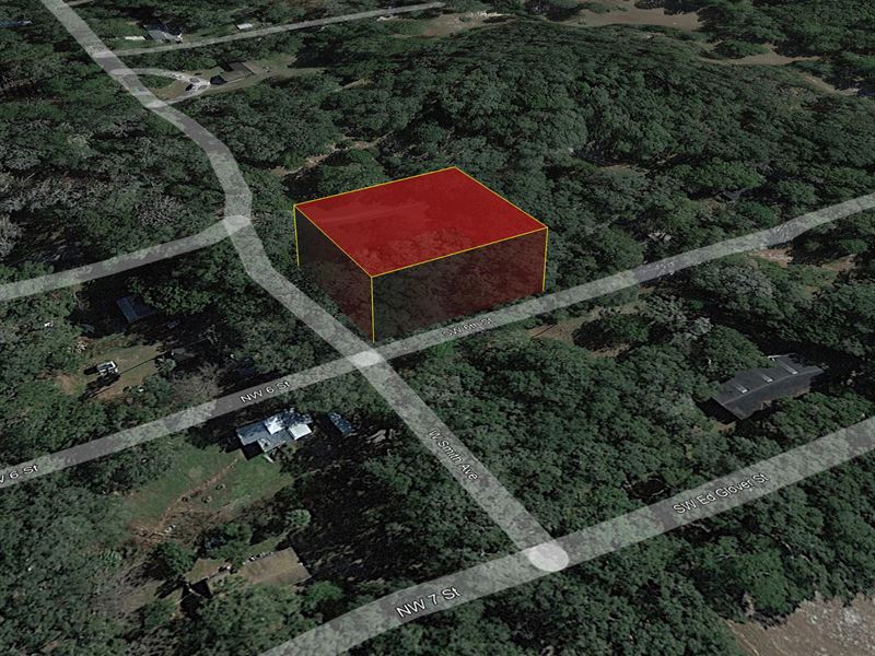 .40 Acre Vacant Land, Micanopy, FL : Micanopy : Alachua County : Florida