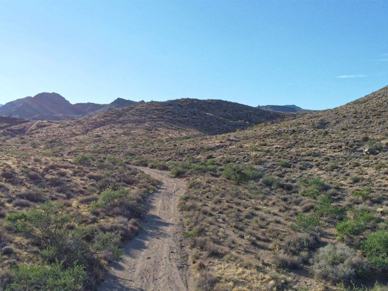 40 Acre Horse Property : Kingman : Mohave County : Arizona