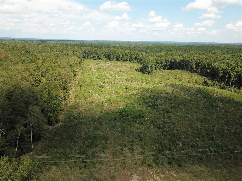 Wilkins Tract : Gaffney : Cherokee County : South Carolina