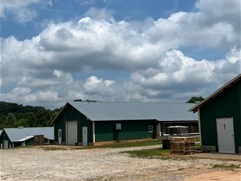 4 House Breeder Farm in Royston, GA : Royston : Franklin County : Georgia