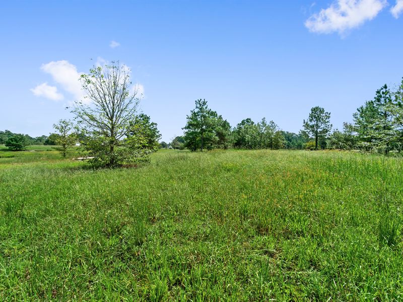 Beautiful Lot with Pond Views : Wallace : Duplin County : North Carolina