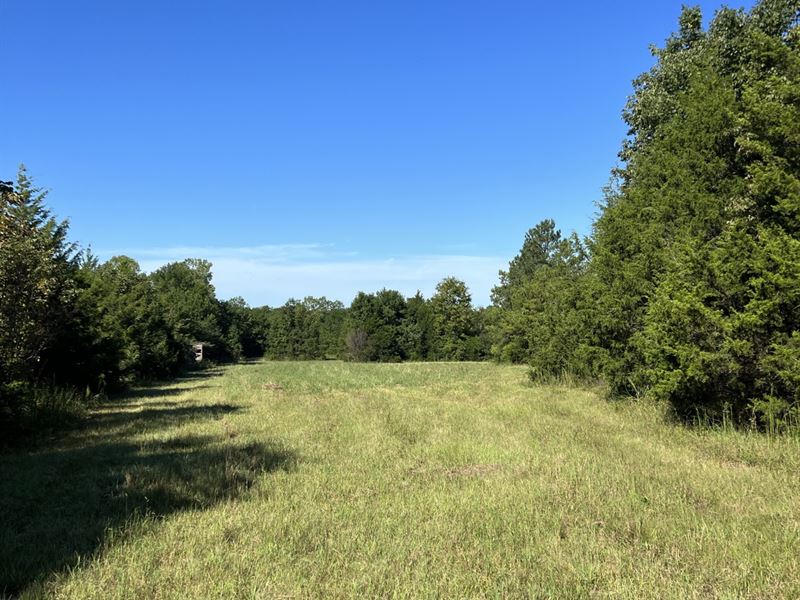 237 Black Belt Hunting : Marion Junction : Perry County : Alabama