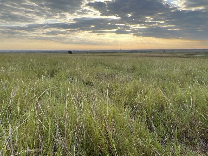 2400 Acres of Wide Open Space : Hammon : Custer County : Oklahoma