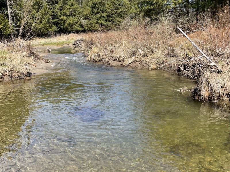 Bainbridge, NY Year Round Getaway : Bainbridge : Chenango County : New York