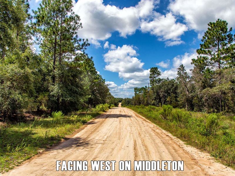 Owner Finance, Home or Recreation : Hawthorne : Putnam County : Florida