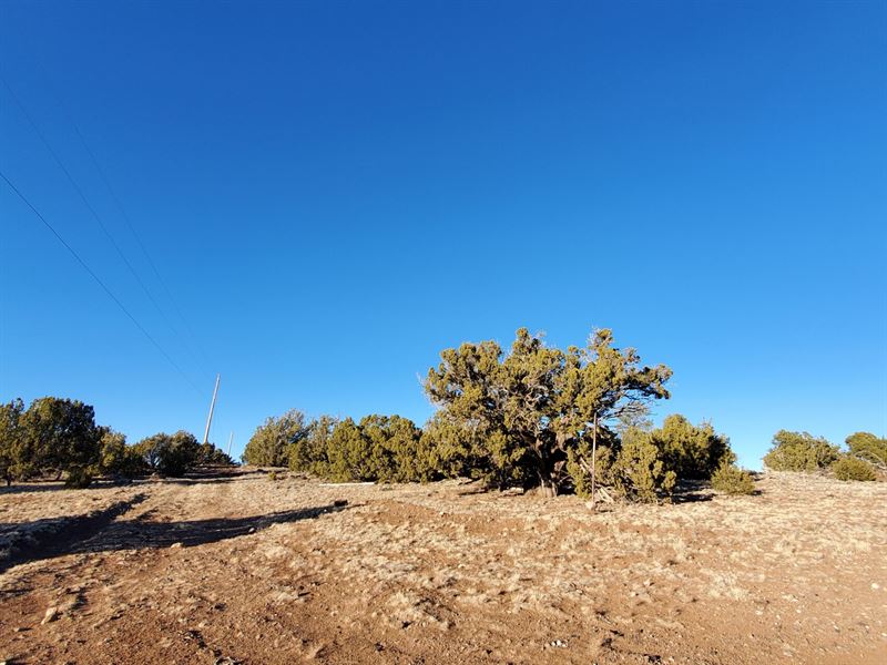 Breathtaking Views & Power Nearby : Concho : Apache County : Arizona