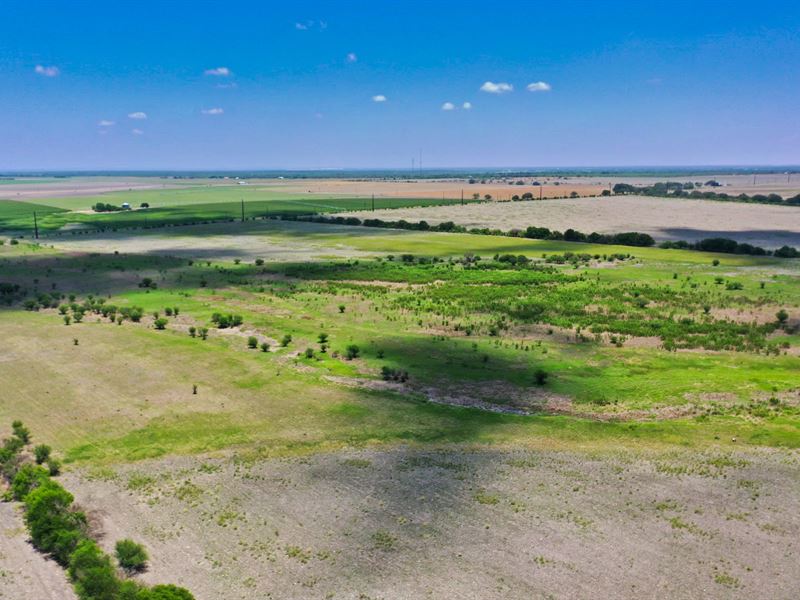 50 Acres Near San Antonio : D'hanis : Medina County : Texas