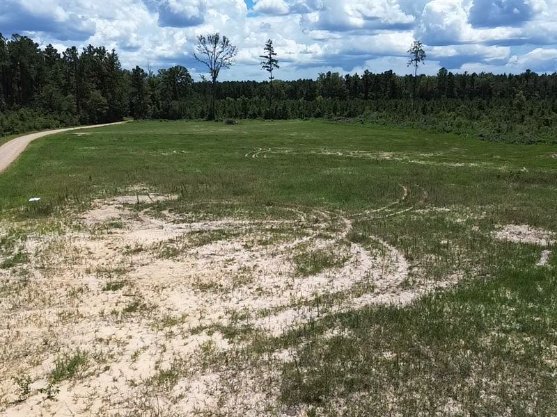 6.6 Acres Pine Grove, Make Offers : Pine Grove : Saint Helena Parish : Louisiana