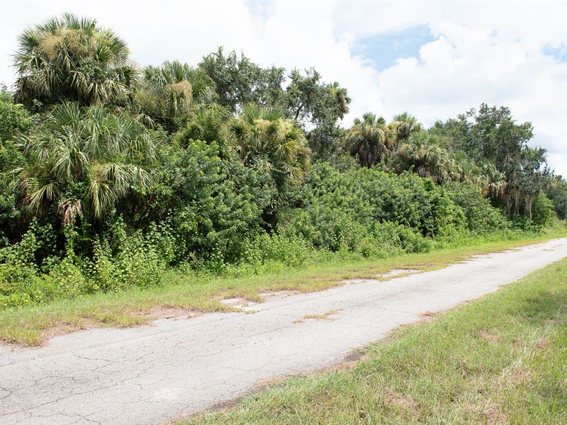 FL Lot, Paved Road, Power Nearby : North Port : Sarasota County : Florida