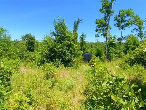 Owner Financed Rec Land : Eminence : Shannon County : Missouri