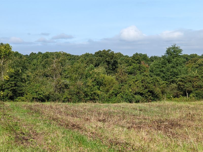 Affordable 26 Acres : Millfield : Athens County : Ohio