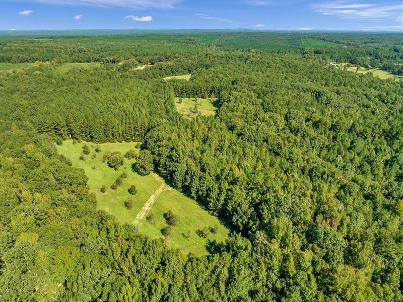 Heavily Timbered on Richland Creek : Talbotton : Talbot County : Georgia