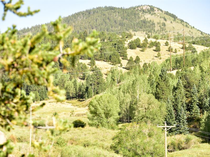 2.24 Acres in The City Of Gold Mine : Victor : Teller County : Colorado