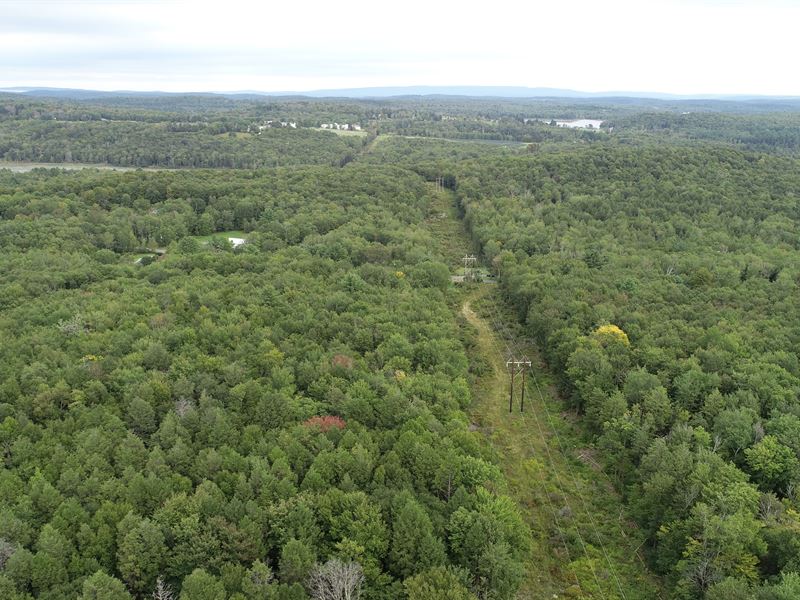 Choice Wooded Recreational Site : Fallsburg : Sullivan County : New York