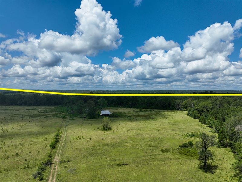 201 Acres, CR 2082 : Burkeville : Newton County : Texas
