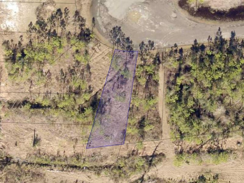 .08 Acre Lot in Panama City, FL : Panama City : Bay County : Florida