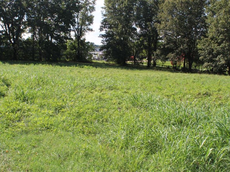 Large Lot in The City Limits Of Mar : Marshall : Searcy County : Arkansas