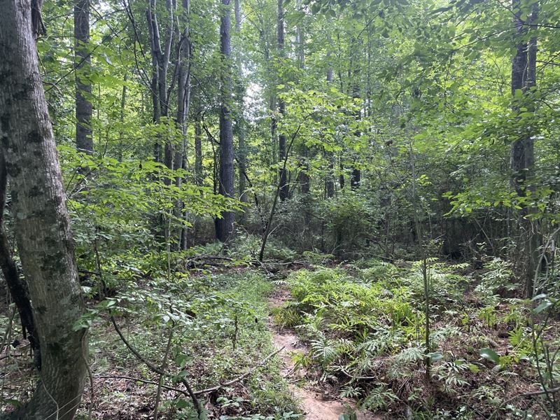 Lucky Ln Lot 5 Carroll County : Bowdon : Carroll County : Georgia