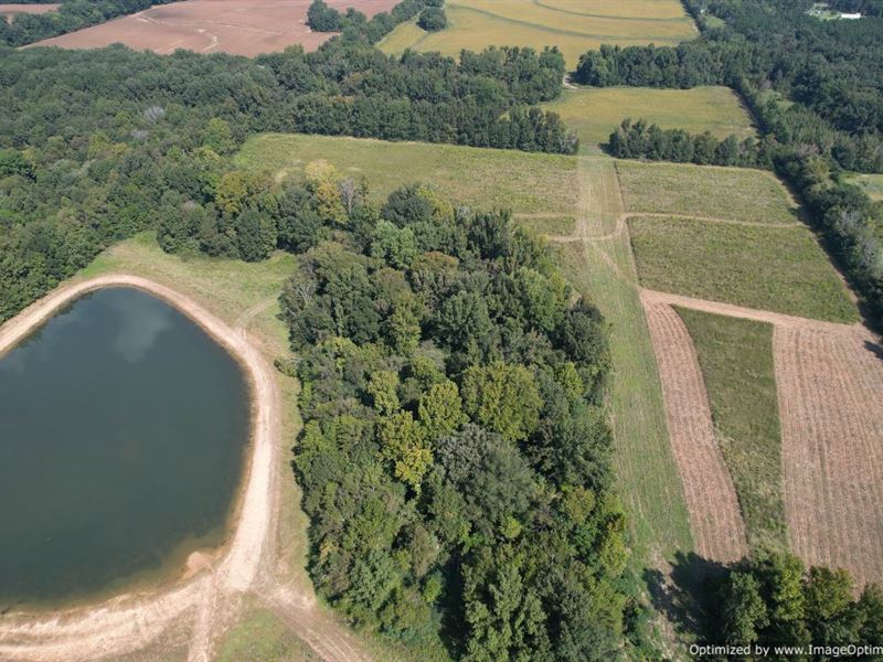 69 AC Mini Farm, Madison County, MS : Canton : Madison County : Mississippi