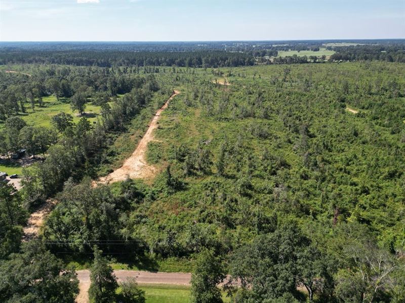 173 Acres for Sale in Southwest : Osyka : Pike County : Mississippi