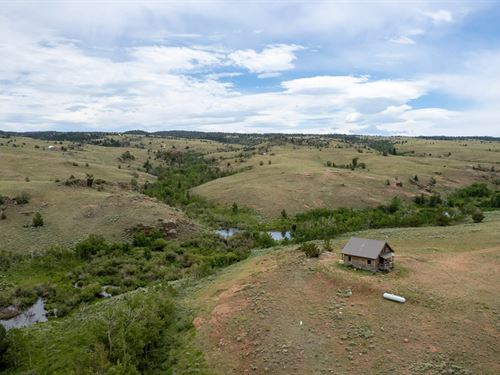 Antelope Creek Cow Camp : Laramie : Albany County : Wyoming