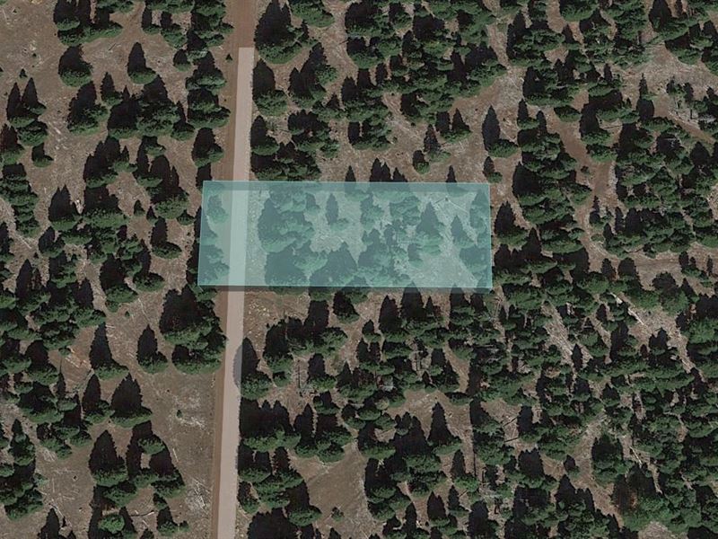 Make Golden Memories on 0.95 Acres : Alturas : Modoc County : California