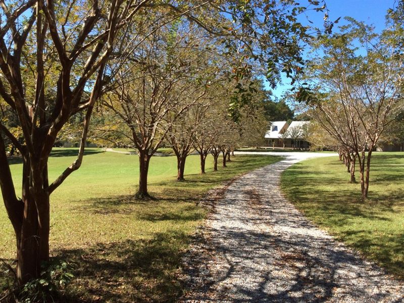 Whitaker Road Estate, Wilkinson Cou : Centreville : Wilkinson County : Mississippi