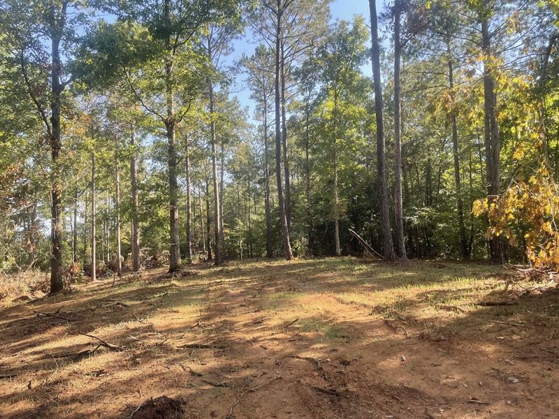 18 Acres Barrett Rd : Alexander City : Tallapoosa County : Alabama