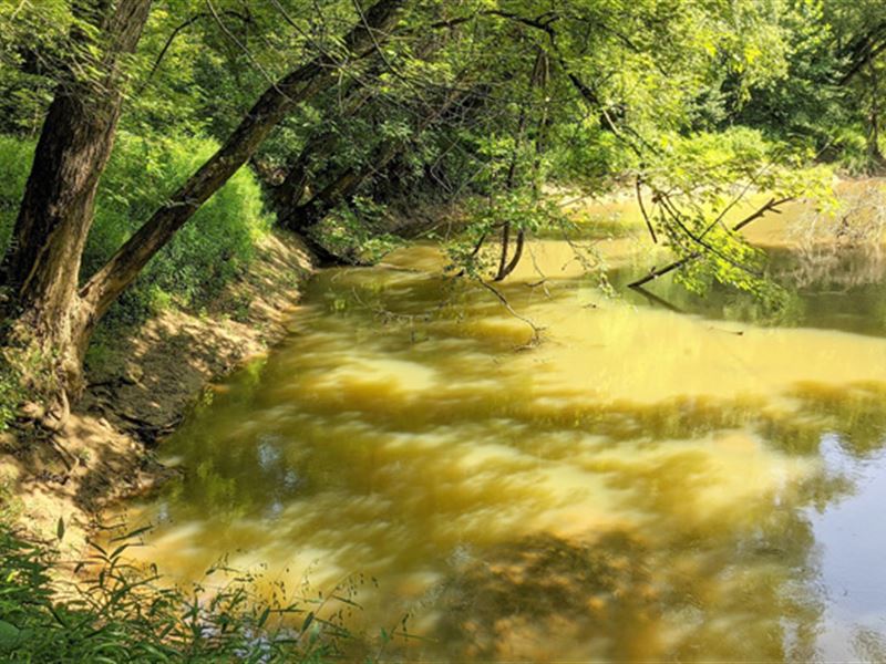 Ohio Land, a Mile of Creek Front : Vinton : Vinton County : Ohio