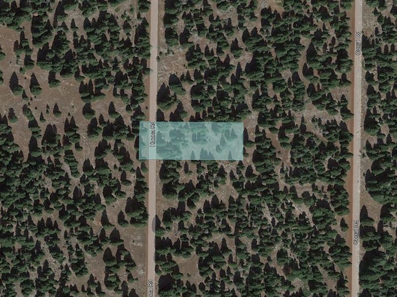 Relax Your Mind in Modoc County : Alturas : Modoc County : California