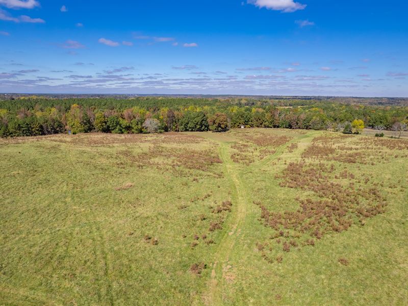 6+ Acre Tract in Madison, GA : Madison : Morgan County : Georgia