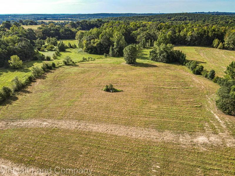 6.7 Ac Residential Tract, Pea Ridge : Jonesville : Union County : South Carolina