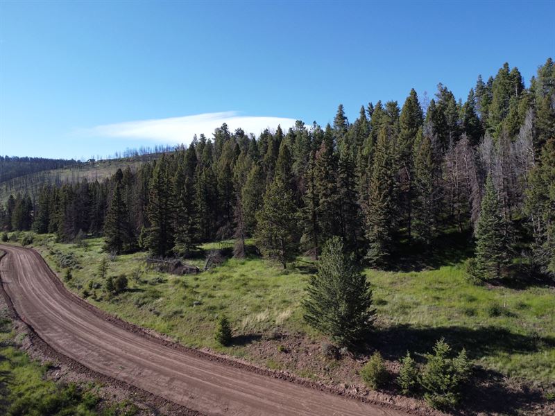Land with Tress in Gated Community : Fort Garland : Costilla County : Colorado