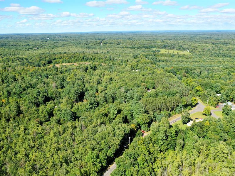 An Acre Will Excite and Inspire You : Hastings : Oswego County : New York