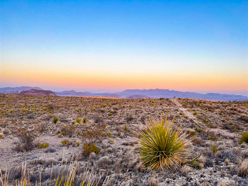 Should i buy sales land in terlingua