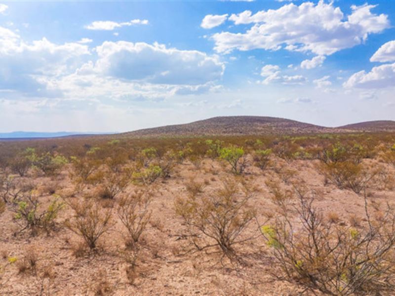 Borderline Beautiful : Van Horn : Culberson County : Texas