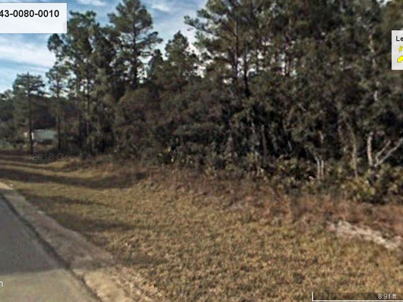 A Haven Near The St Johns River : Satsuma : Putnam County : Florida