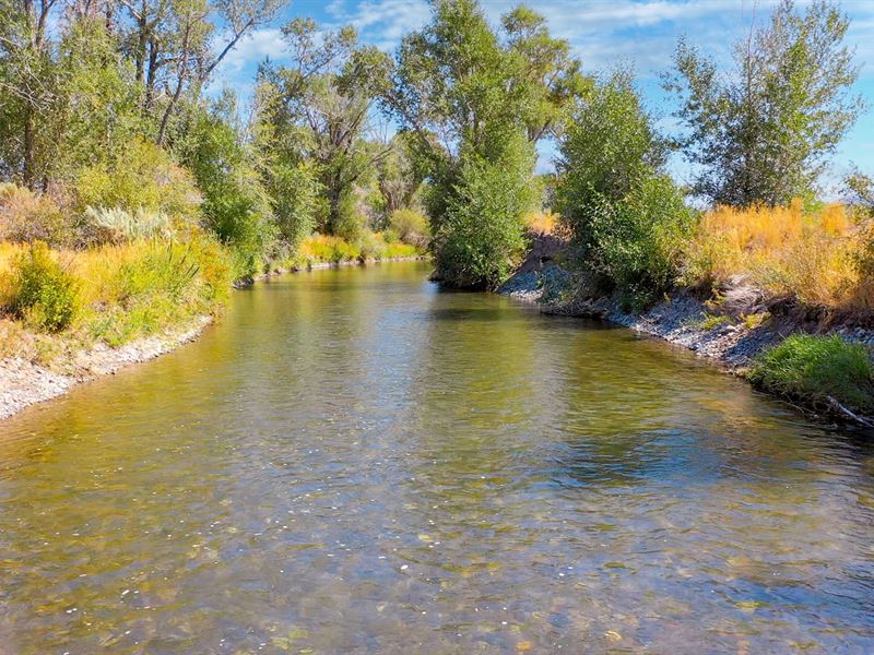 River Front, Power & Mountain Views : Moore : Custer County : Idaho