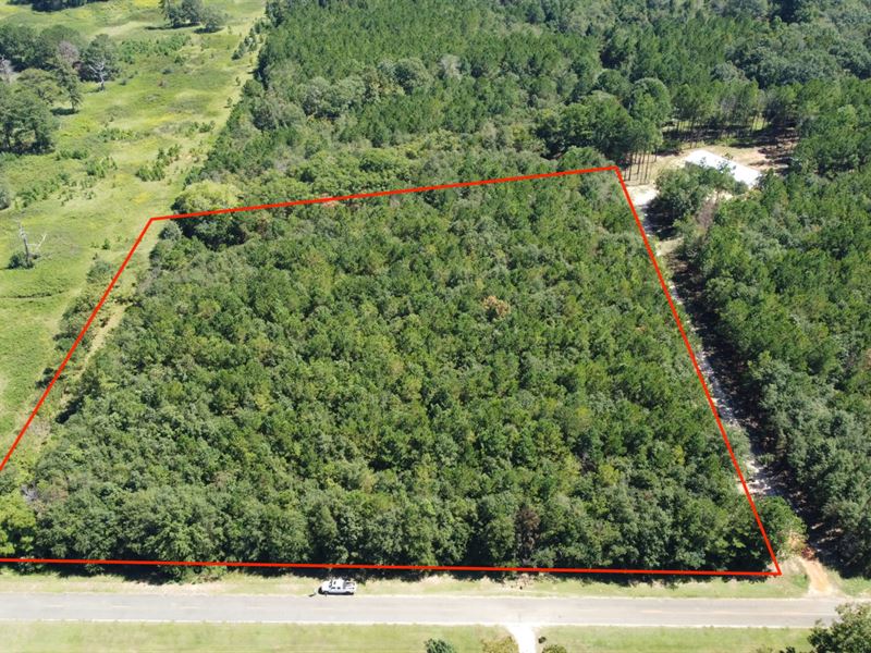 5 Acre Lot in Marion County, GA : Buena Vista : Marion County : Georgia