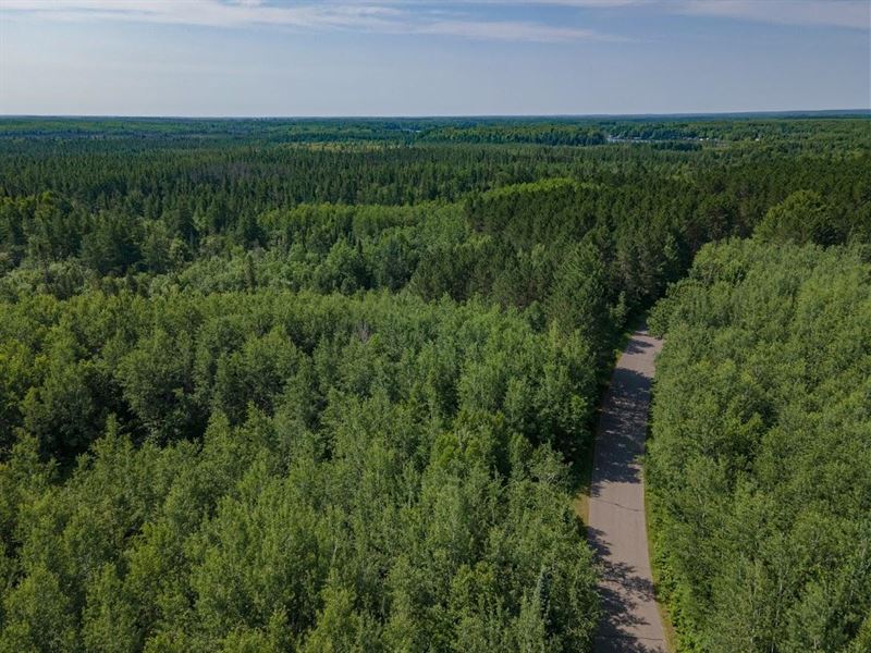 Pine Lake Rd Acreage : Minocqua : Oneida County : Wisconsin