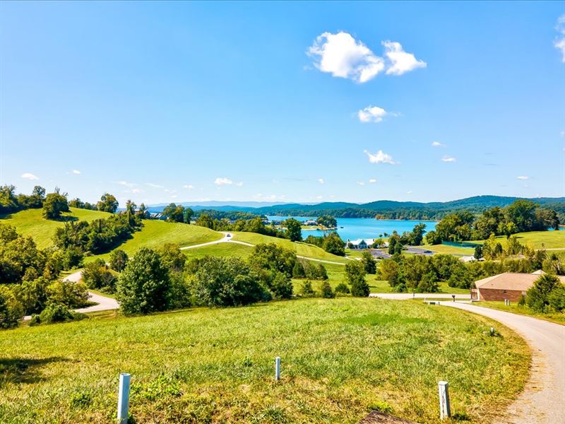 Norris Lake View Building Lot : Sharps Chapel : Union County : Tennessee