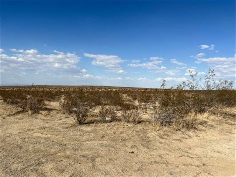 2.53 Acres +/- in Hivista Area : Lancaster : Los Angeles County : California