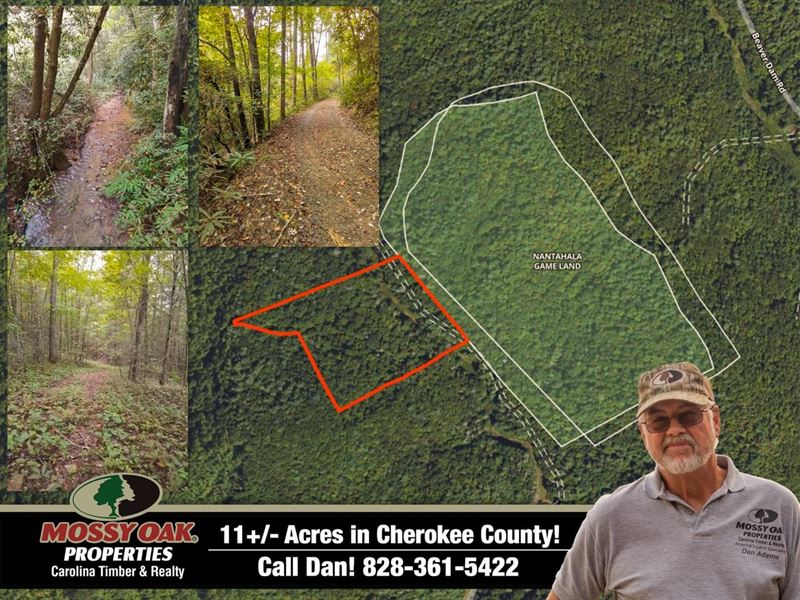 11+Acres Borders Usfs with Creek : Murphy : Cherokee County : North Carolina