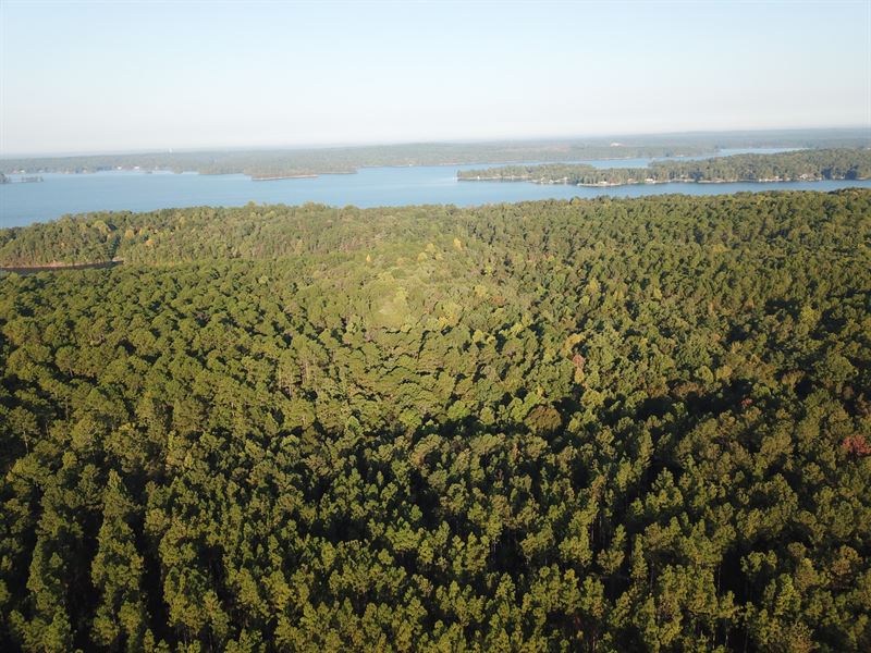 39 Ac Tallapoosa Co : Dadeville : Tallapoosa County : Alabama