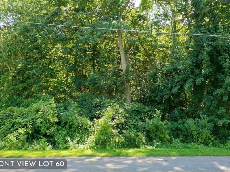 Discounted Building Lot : Oswego : Oswego County : New York